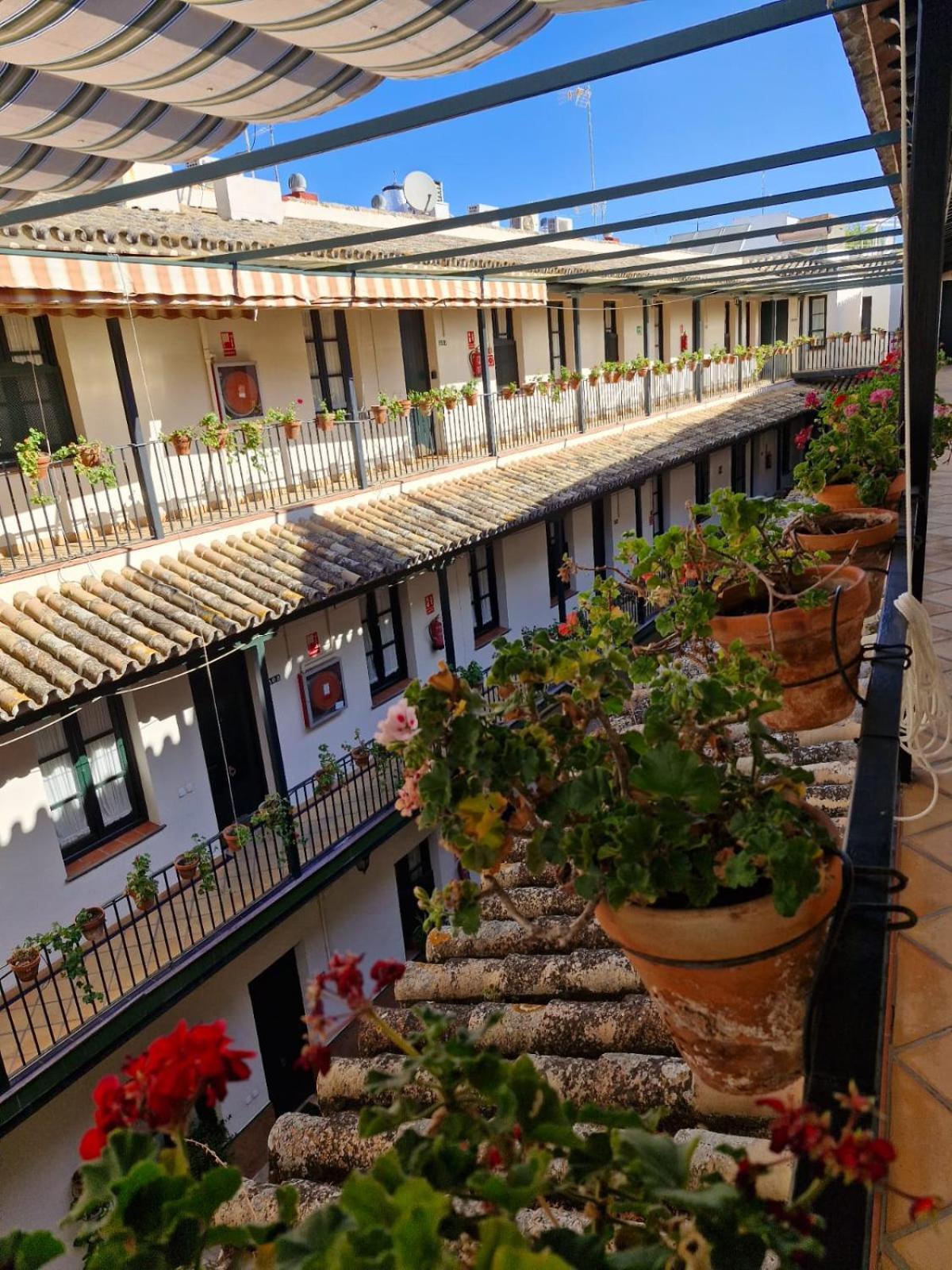 Patio Cartuja Daire Sevilla Dış mekan fotoğraf