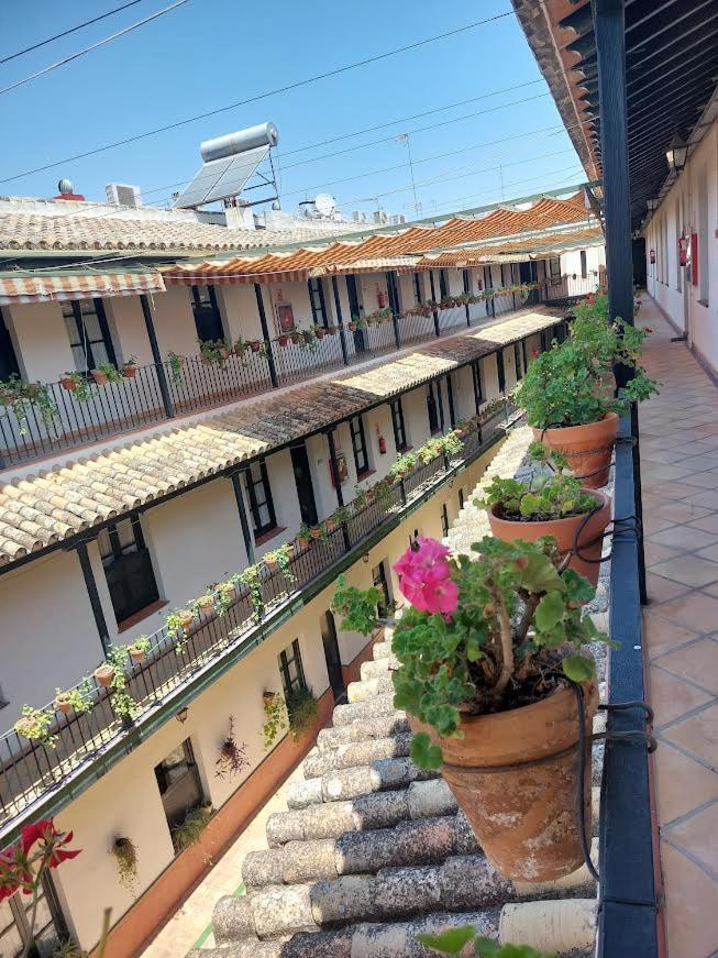 Patio Cartuja Daire Sevilla Dış mekan fotoğraf